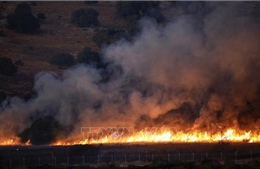 Phong trào Hezbollah bác bỏ thông tin về giao tranh với Israel ở biên giới 