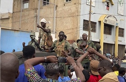 Đại diện LHQ tiếp cận những quan chức Mali đang bị lực lượng đảo chính bắt giữ