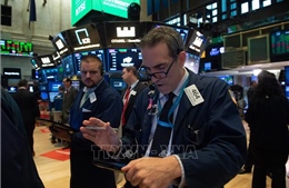 Thị trường chứng khoán Mỹ đồng loạt đi lên trong phiên ngày 7/1