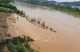 Xuất hiện lũ lớn trên sông Hồng và sông Chảy đoạn qua tỉnh Lào Cai