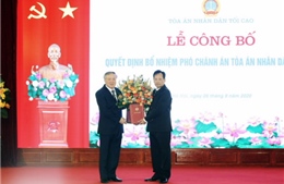 Ông Nguyễn Văn Tiến giữ chức Phó Chánh án Tòa án nhân dân Tối cao