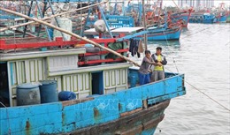 Ngư dân kiên trì bám biển, chủ động phòng dịch COVID-19 