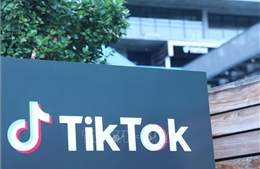 Các nhà kinh tế quan ngại về lệnh cấm của Mỹ đối với TikTok