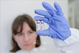 Nga chuẩn bị cấp phép cho loại vaccine phòng dịch COVID-19 thứ 2