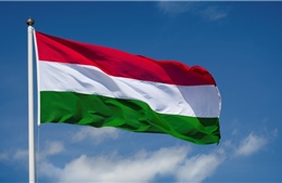 Điện mừng Quốc khánh Hungary