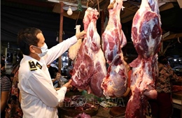 Siết chặt quản lý giết mổ lợn và tiêu thụ các sản phẩm thịt lợn