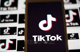 Đài phát thanh và truyền hình nhà nước Thụy Điển cấm nhân viên dùng TikTok 