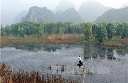 Đất ngập nước chống biến đổi khí hậu- Bài cuối: Giải pháp bảo vệ hiệu quả