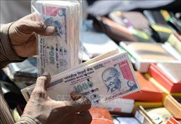 Ấn Độ bất ngờ giữ nguyên lãi suất giữa lúc lạm phát gia tăng