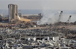 Thảm họa từ vụ nổ ở Beirut, Liban