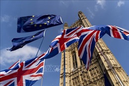 Thương mại Anh-EU hậu Brexit sụt giảm mạnh trong tháng 1
