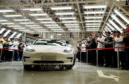8 hãng xe hơi tại Hàn Quốc thu hồi gần 24.000 xe do các bộ phận bị lỗi