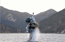 EU kêu gọi Triều Tiên tuân thủ cam kết ngừng thử tên lửa và hạt nhân