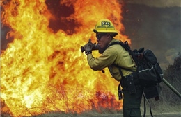 California tuyên bố tình trạng khẩn cấp do cháy rừng