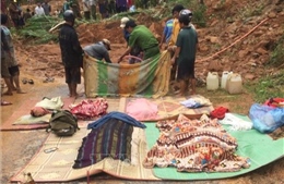 Tìm thấy 6 thi thể trong một gia đình bị vùi lấp do sạt lở núi ở Quảng Trị