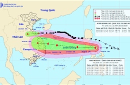 Áp thấp nhiệt đới gây mưa to từ Nghệ An đến Thừa Thiên - Huế, bão số 9 tiếp tục mạnh thêm