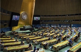 Năm nhà ngoại giao tại trụ sở LHQ nhiễm virus SARS-CoV-2