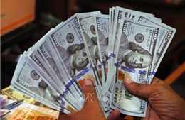 Tỷ giá trung tâm giảm tiếp 5 đồng sáng 20/10