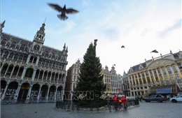 Bỉ thận trọng dịp Giáng sinh và đón Năm mới