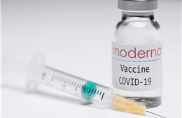 Nhiều nước ráo riết thúc đẩy kế hoạch đặt mua vaccine
