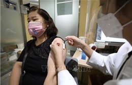 Hàn Quốc tiếp tục điều tra nguyên nhân nhiều người tử vong sau khi tiêm vaccine cúm