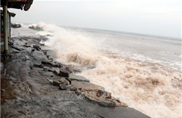 Cần sớm nâng cấp hệ thống kè biển tại Nam Định