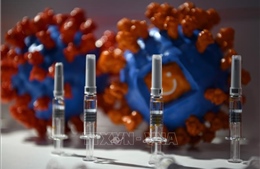 Brazil cho phép tiếp tục thử nghiệm lâm sàng vaccine ngừa COVID-19 của Trung Quốc