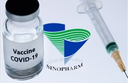 Vaccine của Sinopharm (Trung Quốc) đạt hiệu quả phòng bệnh hơn 79%