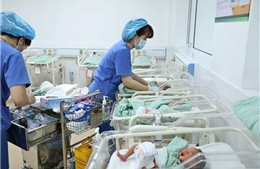 TP Hồ Chí Minh nỗ lực giải quyết tình trạng mức sinh thấp​