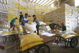 Thị trường nông sản thế giới tuần qua: Giá gạo châu Á đi lên