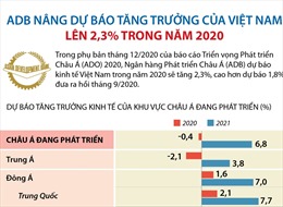 ADB nâng dự báo tăng trưởng của Việt Nam lên 2,3% trong năm 2020
