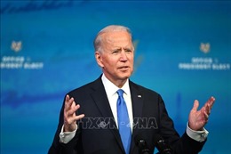 Tổng thống đắc cử Mỹ Joe Biden khẳng định không lo ngại khi con trai bị điều tra