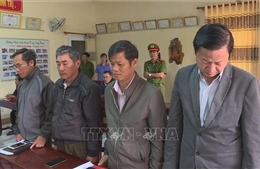 Khởi tố, bắt tạm giam 4 lãnh đạo, cán bộ liên quan đến vụ phá rừng tại Đắk Lắk