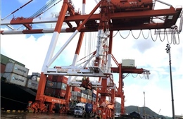 Cảng Quy Nhơn phấn đấu đạt 11 triệu tấn hàng hoá trong năm 2020