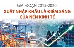 Xuất nhập khẩu là điểm sáng của nền kinh tế trong giai đoạn 2015-2020