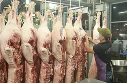 Các tỉnh, thành phía Nam đảm bảo nguồn cung thịt lợn