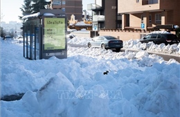 Vùng thủ đô Tây Ban Nha lùi thời gian mở cửa lại trường học sau trận bão tuyết lịch sử
