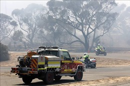Cháy rừng vượt tầm kiểm soát, đe dọa người dân bang Tây Australia 