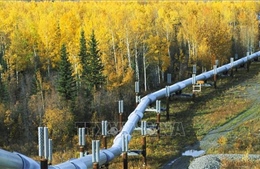 Canada khởi động lại một phần của đường ống dẫn dầu Keystone