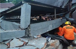 Đánh giá sơ bộ thiệt hại sau cơn địa chấn tại Indonesia