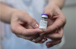 Nhật Bản chính thức phê duyệt vaccine Pfizer/BioNTech