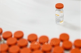 Indonesia tiếp nhận thêm 10 triệu liều vaccine dạng nguyên liệu thô từ Sinovac