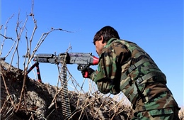 Quân đội Afghanistan tiêu diệt hàng chục tay súng Taliban