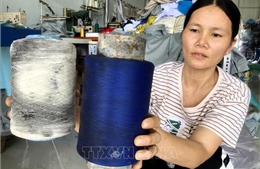 Người dân kiến nghị xử lý nghiêm cơ sở kinh doanh than củi gây ô nhiễm 