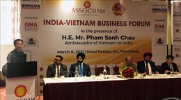 Việt Nam - Ấn Độ đẩy mạnh hợp tác đầu tư song phương