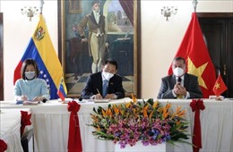 Tăng cường hợp tác giữa Việt Nam và địa phương của Venezuela