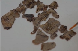 Israel phát hiện các mảnh vụn của cuộn Kinh thánh niên đại 2.000 năm 