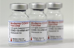 Người từng mắc COVID-19 được bảo vệ ngay khi tiêm 1 mũi vaccine