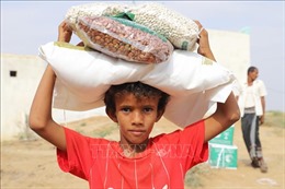 LHQ cảnh báo cắt giảm viện trợ cho Yemen là &#39;bản án tử hình&#39;
