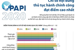 PAPI 2020: Chỉ số nội dung thủ tục hành chính công đạt điểm cao nhất
